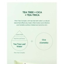 SKIN 1004 - Madagascar Centella Tea-trica BHA Foam