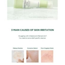 SKIN 1004 - Madagascar Centella Tea-trica BHA Foam