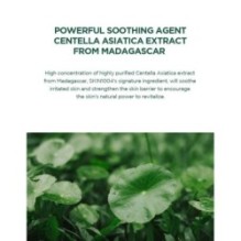 SKIN 1004 - Madagascar Centella Tea-trica BHA Foam