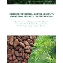 SKIN 1004 - Madagascar Centella Tea-trica BHA Foam