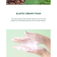 SKIN 1004 - Madagascar Centella Tea-trica BHA Foam