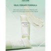 SKIN 1004 - Madagascar Centella Tea-trica BHA Foam