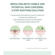 SKIN 1004 - Madagascar Centella Tea-Trica Relaxing Mask Set