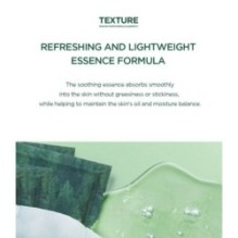 SKIN 1004 - Madagascar Centella Tea-Trica Relaxing Mask Set