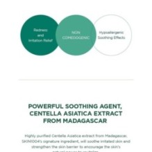 SKIN 1004 - Madagascar Centella Tea-Trica Relief Ampoule