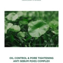 SKIN 1004 - Madagascar Centella Tea-Trica Relief Ampoule