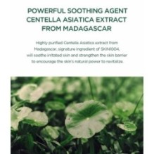 SKIN 1004 - Madagascar Centella Tea-Trica Soothing Sun Milk