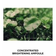 SKIN 1004 - Madagascar Centella Tone Brightening Capsule Ampoule Mini