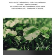 SKIN 1004 - Madagascar Centella Tone Brightening Glow Mask Set