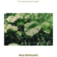 SKIN 1004 - Madagascar Centella Toning Toner JUMBO