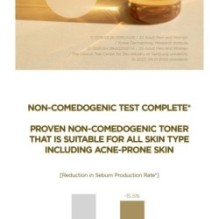 SKIN 1004 - Madagascar Centella Toning Toner Mini