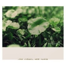 SKIN 1004 - Madagascar Centella Travel Kit