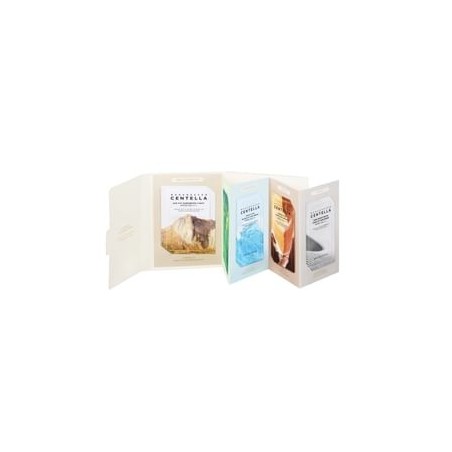 SKIN 1004 - Sun Trial Kit