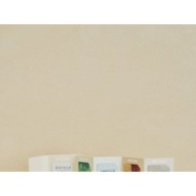 SKIN 1004 - Sun Trial Kit