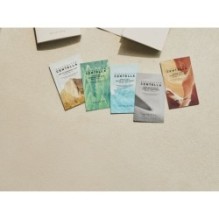 SKIN 1004 - Sun Trial Kit