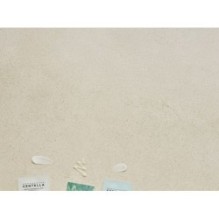 SKIN 1004 - Sun Trial Kit