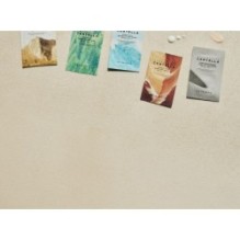 SKIN 1004 - Sun Trial Kit