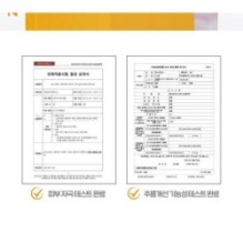 SKIN 1004 - ZOMBIE BEAUTY Pumpkin Pack