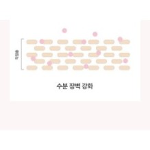 Anua - Peach 77 Niacin Essence Toner