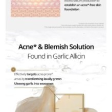 VT - Garlic AC Reedle Shot Point Patch