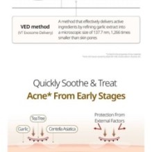VT - Garlic AC Reedle Shot Point Patch