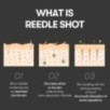 VT - Reedle Shot 100 Mini