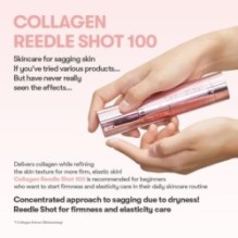 VT - Collagen Reedle Shot 100