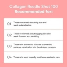 VT - Collagen Reedle Shot 100