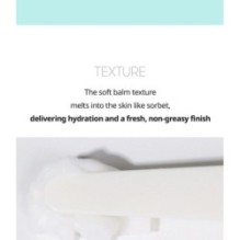 VT - PDRN Grinding Cleansing Balm