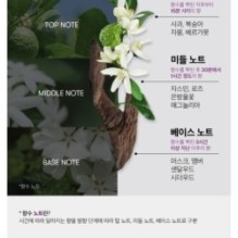 VT - Reedle Shot Lifting Cream