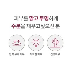 MISSHA - Time Revolution The First Essence Pads Refill Only