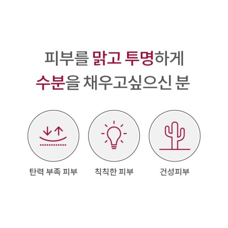 MISSHA - Time Revolution The First Essence Pads Refill Only