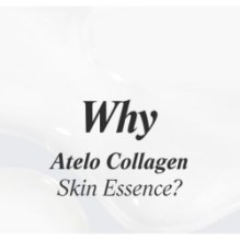 MISSHA - Atelo Collagen Skin Essence