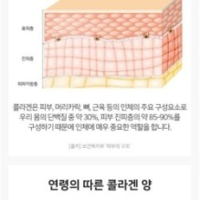 APLB - EGF Collagen Moisture Cream