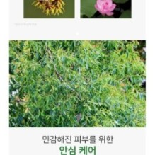 APLB - Glutathione Hyaluronic Acid Body Lotion