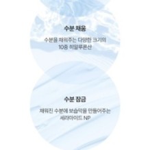 Anua - Birch Moisture Mask Set