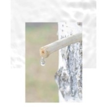 Anua - Birch Moisture Boosting Pad