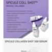 APLB - Spicule Collagen Shot 300 Serum